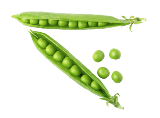 green pea vegetable bean isolated. png file