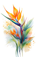 A watercolor drawing of a tropical 'bird of paradise' flower, generative AI.