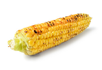 Tasty grilled corn cob on white background