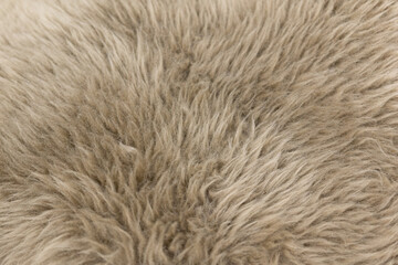 carpet. Background. Textile texture. Selective focus.