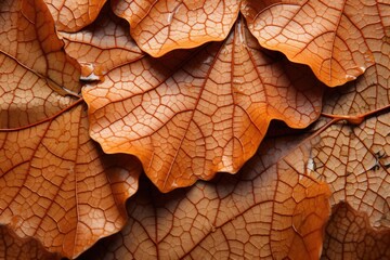 autumn leaves closeup - textured background created using generative AI tools
