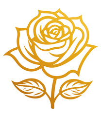 Hand drawn roses. Sketch rose flowers with buds, leaves and stems . golden vintage etching vector botanical isolated on transparent. Illustration of rose petal, sketch botany floral plant, PNG and SVG