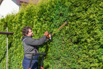Male gardener in uniform using electric hedge cutter for work outdoors. Caucasian man shaping...