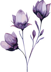 Watercolor Purple Flowers Clipart Png Transparent Element