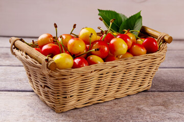 Yellow fresh cherry with leaves in a basket against a gray wooden background. Delicious cherry
