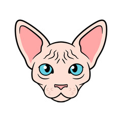 Vector Sphynx Cat Cartoon Head Illustration