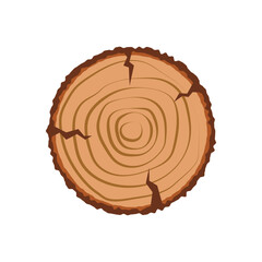 cut tree circle vector. cut tree with annual rings
