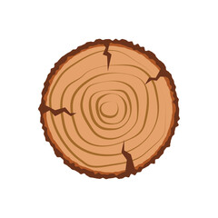 Fototapeta premium cut tree circle vector. cut tree with annual rings