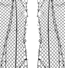 Opening in metallic fence isolated on white background . Challenge. uncertainty. breakthrough concept. metaphor. Chain-link, wire netting, wire-mesh, fence.barbed wire. illustration.
