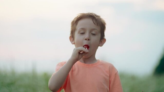 A Caucasian boy eats a lollipop in the park. Happy child with sweets and candies smiling. High quality 4k footage