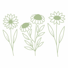 hand drawn 3 flowers doodle vector element design