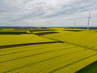 Wind power plant on the background of rapeseed field