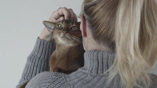 Woman with a cat. Adult girl and a cat. Love for pets. Back to the camera. Blonde. Veterinary clinic. Pet Sitter Services. Protecting pets from violence. Volunteer. Care and love.