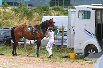 cheval de course après la compétition avec son soigneur
