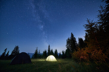 Beautiful landscape of grassy hill with camp tents and coniferous trees under night starry sky. Scenic panoramic view of tourist tents in mountain meadow under blue sky with stars.