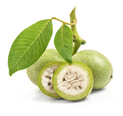 Green walnuts isolated on white background