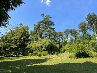 Nordheim Cemetery Park or Park of the Nordheim cemetery - Park des Nordheimer Friedhofs oder Friedhofspark Nordheim - Zürich (Zurich or Zuerich), Switzerland (Schweiz)