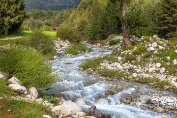 Blue river spring landscape, Bansko, Bulgaria