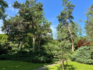 Nordheim Cemetery Park or Park of the Nordheim cemetery - Park des Nordheimer Friedhofs oder Friedhofspark Nordheim - Zürich (Zurich or Zuerich), Switzerland (Schweiz)