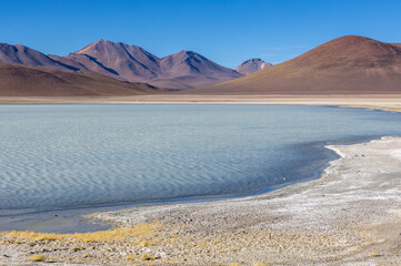 Picturesque Laguna Blanca, just one natural sight while traveling the scenic lagoon route through the Bolivian Altiplano in South America 