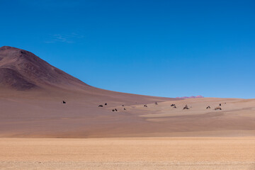 Fototapeta na wymiar Picturesque Salvador Dali Desert, just one natural sight while traveling the scenic lagoon route through the Bolivian Altiplano in South America 