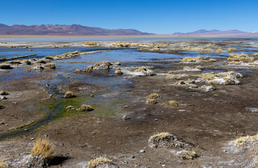 Laguna Chalviri, just one natural sight while traveling the scenic lagoon route through the Bolivian Altiplano in South America