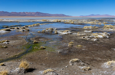 Laguna Chalviri, just one natural sight while traveling the scenic lagoon route through the Bolivian Altiplano in South America