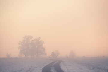 Fototapeta na wymiar Road with frost-covered trees in winter forest at foggy sunrise.
