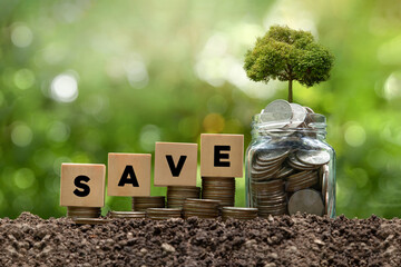 Saving or investing symbol. Tree growing from coins in the glass jar