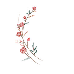 beautiful flower watercolor transparent background created with procreate