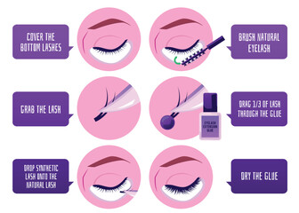 Eyelash extension procedure step by step infographic, flat vector illustration.