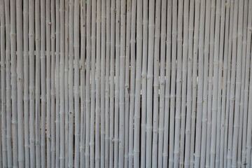 White painted whole bamboo wall or backdrop.