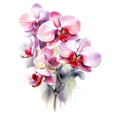 Generative AI : Realistic Watercolor Painting of Vibrant Orchids Blooming with Nature's Delicate Beauty"