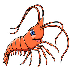 Illustration of Cute shrimp cartoon on white background 