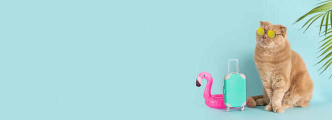 Funny cat wearing sunglasses sitting next to the blue suitcase and flamingo rubber ring. Travel concept, tours sale. Tour operator sale banner, summer vacation, holidays vibes. Adventure. Pet hotel - obrazy, fototapety, plakaty
