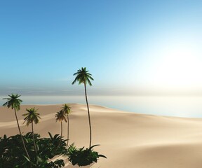 Fototapeta na wymiar Beautiful beach with palm trees at sunset, panorama of a tropical landscape, sea sunset, 3d rendering