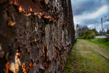 Old rusty train wagon background with shallow depth of field