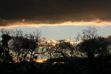 sunset in the forest