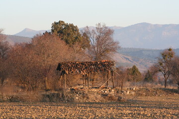 old building in a field