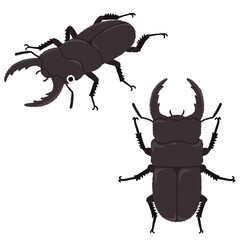 クワガタ（オス）のイラスト
