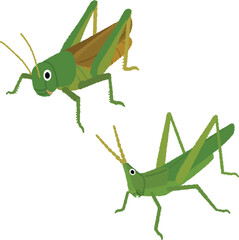 バッタのイラスト