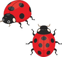 てんとう虫のイラスト