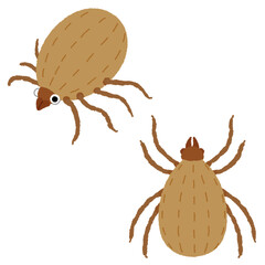 ダニのイラスト
