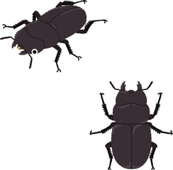 クワガタ（メス）のイラスト