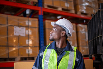 Portrait handsome African worker  posing under work at warehouse with Shelves full of Delivery...