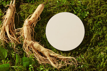 A white podium in round-shaped put on the green grass with ginseng roots. Pedestal or platform for...