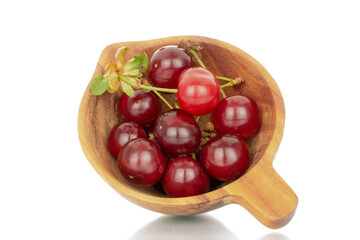 Several ripe cherries with a wooden cup, macro, isolated on a white background.