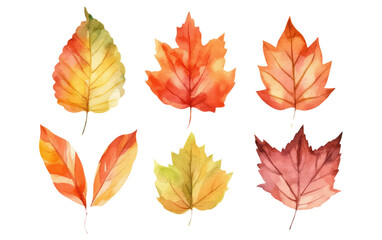 Naklejka na ściany i meble watercolor set vector illustration autumn leaf elements isolated on white background