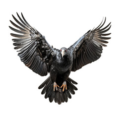 Black raven on transparent background isolated png.Generated with AI