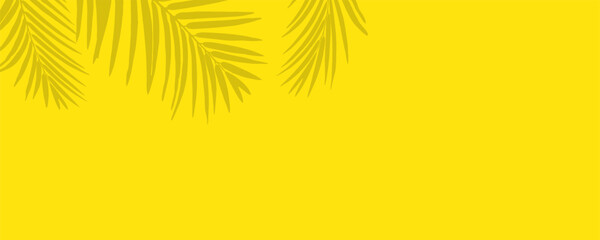 Summer Background with Palm leaves shadows Vector illustration